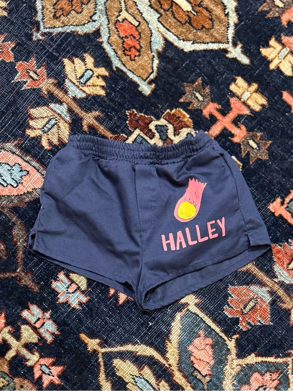 The Animals Observatory Navy Boys Swim Trunks